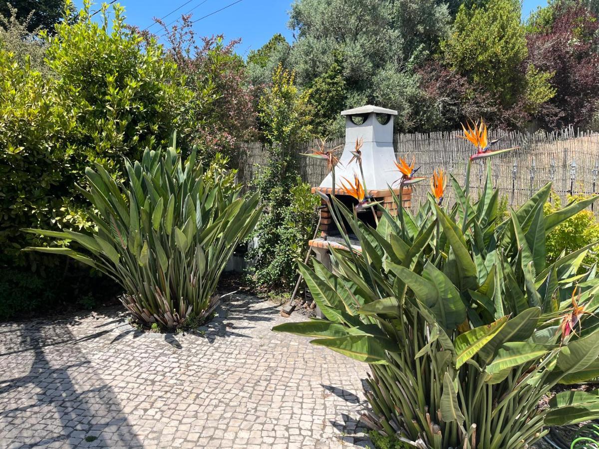 Casa Pausa Sesimbra Holiday Home Luaran gambar
